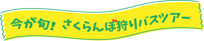 さくらんぼ狩りバスツアー