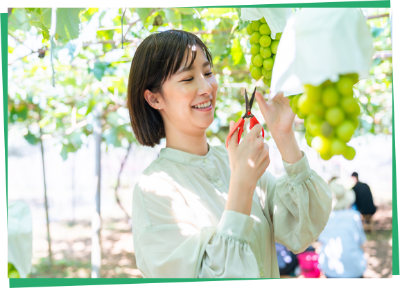 くだもの狩りを楽しむ豆知識