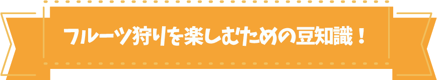くだもの狩りを楽しむ豆知識