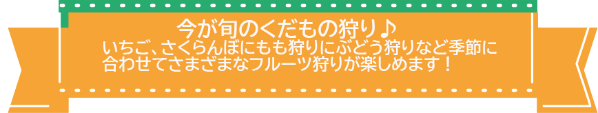 くだもの狩り