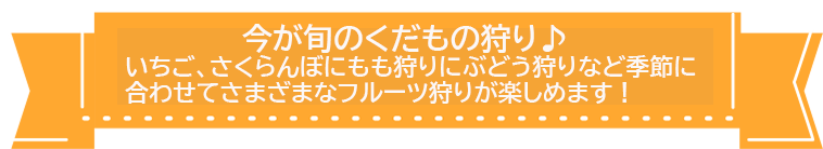 くだもの狩り