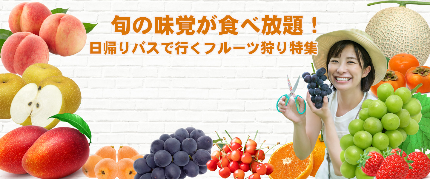 くだもの狩り 特集