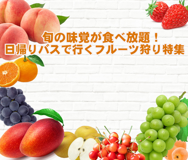 くだもの狩り 特集