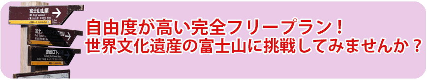 富士山専門ツアー完全フリープラン
