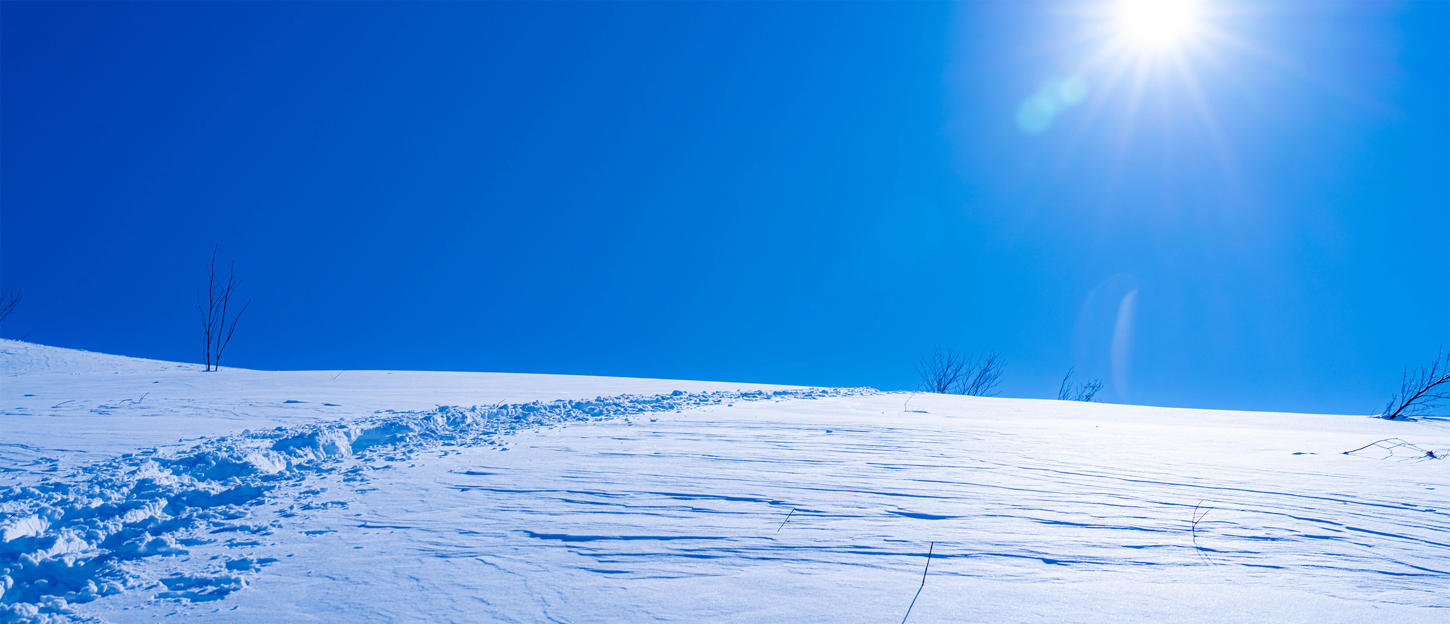 スキー＆スノーボードイメージ