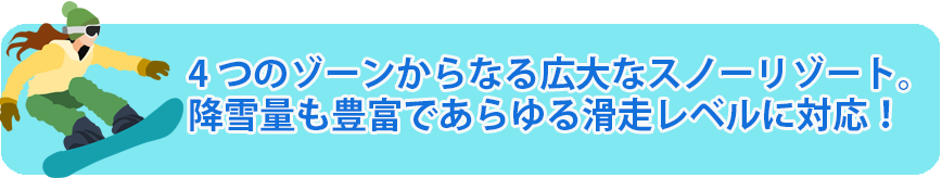 上越国際スキー場 内容充実格安ツアー